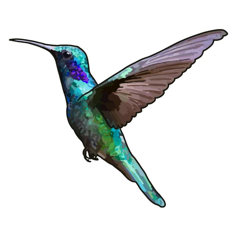 Kolibri