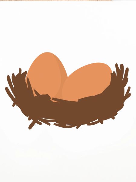 Eier Nest Egg Easter