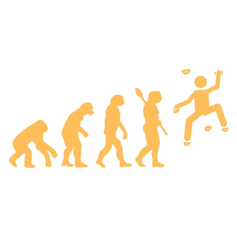 Evoution Bouldern orange
