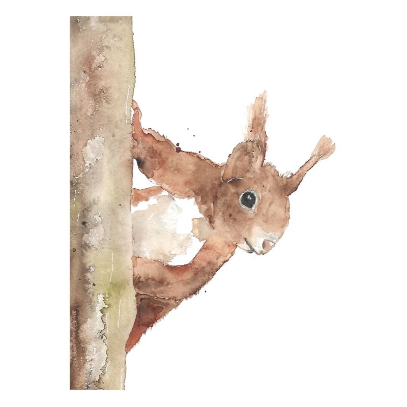 Eichhörnchen