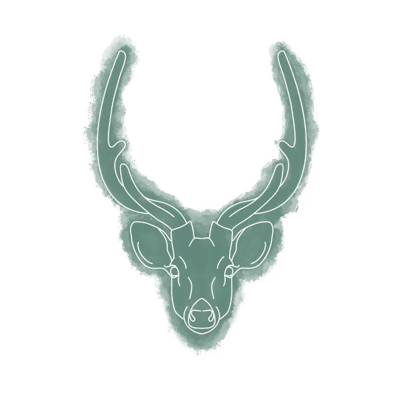 Hirschkopf / Geweih / Jagdtrophäe / Hirsch / Wild