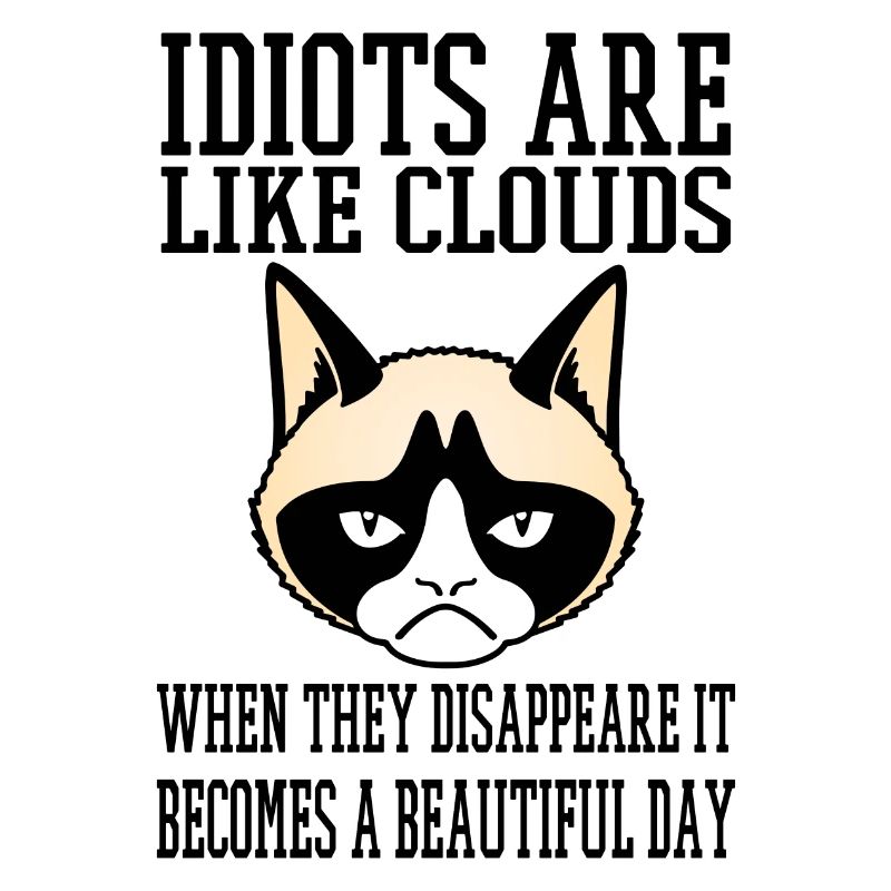 grumpy cat Idiots like clouds