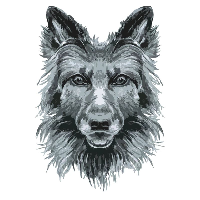 chien