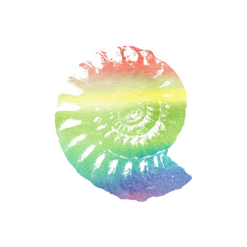 Fossil Ammonit in regenbogenfarben Geschenk