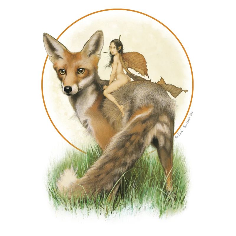 Fuchs und Fee