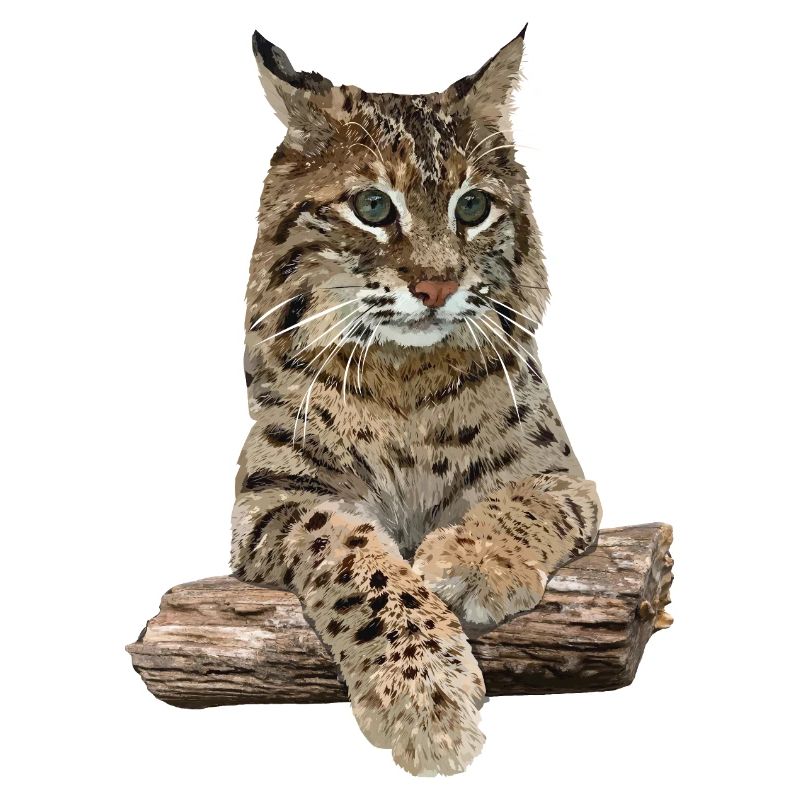 Luchs