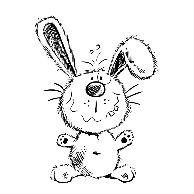 Fluffy bunny - Rabbit - Comic - Animal
