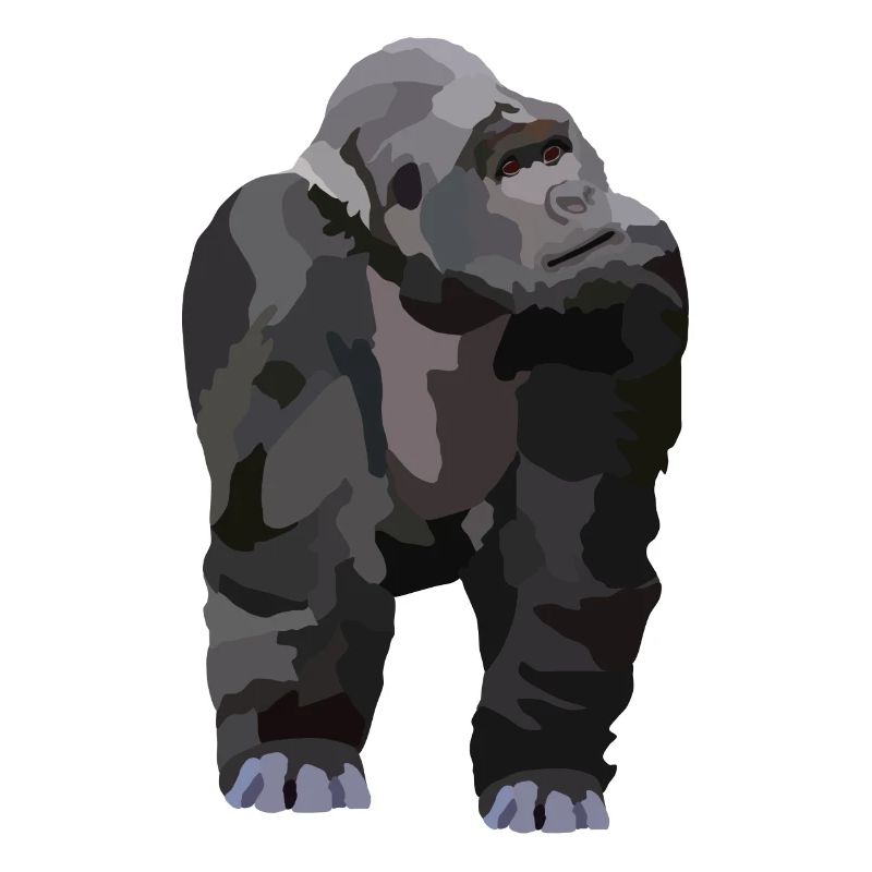 Gio, der Gorilla