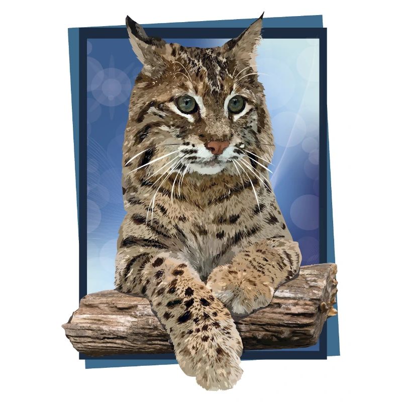Luchs