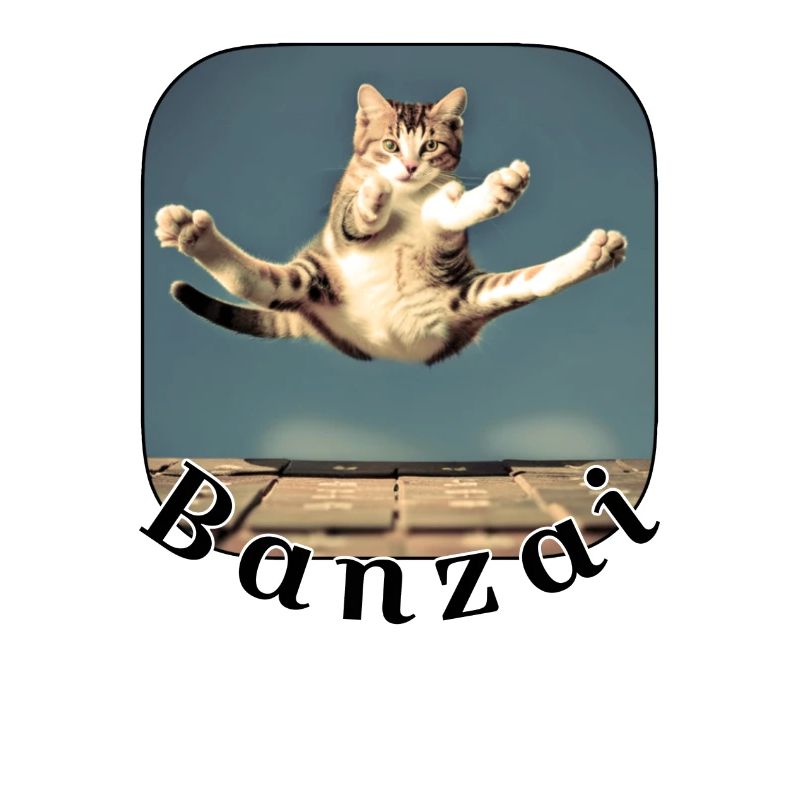 Jumping cat over keyboard