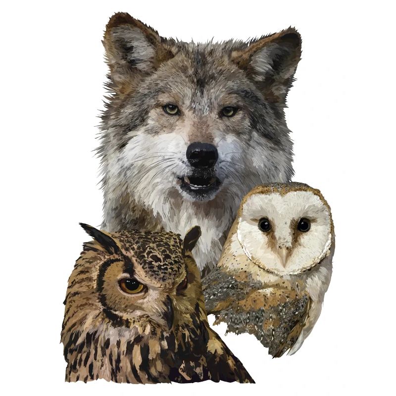 Wolf und Eulen