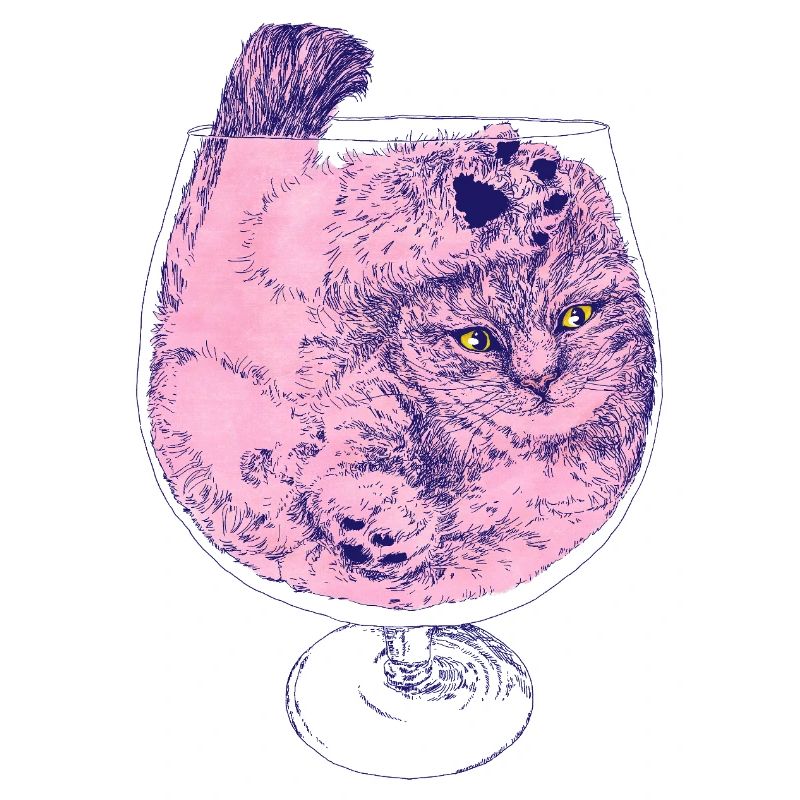 KÄTZCHEN-COCKTAIL