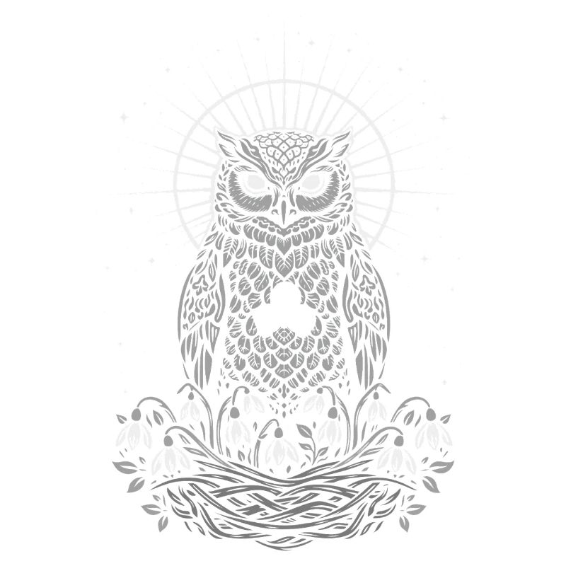 Imbolc Owl with Triskele and Snowdrops