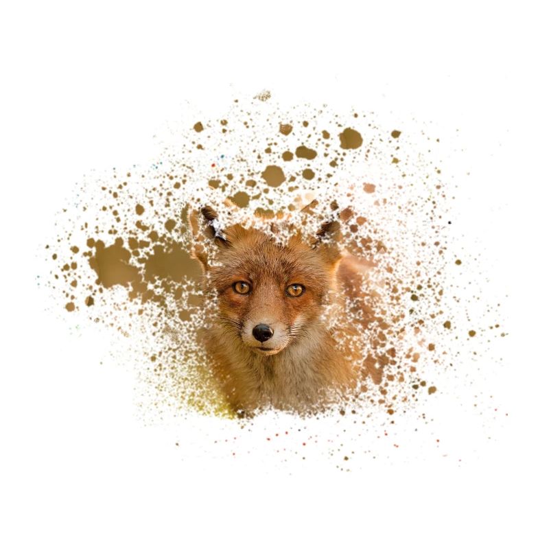 Fuchs