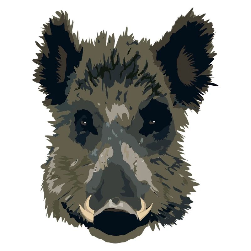 Wilsau oder Wildschwein als Geschenk