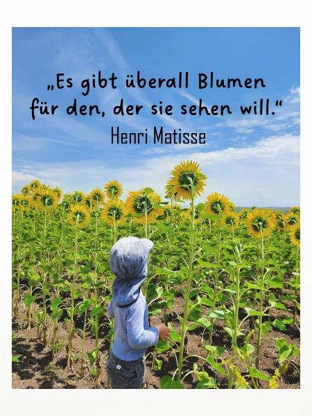 Überall Blumen 2