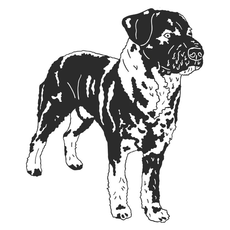 Mischlingshund