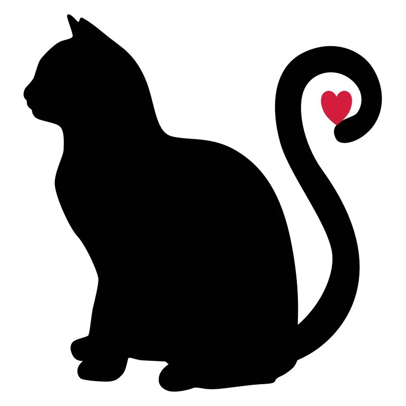 katze schwarz herz