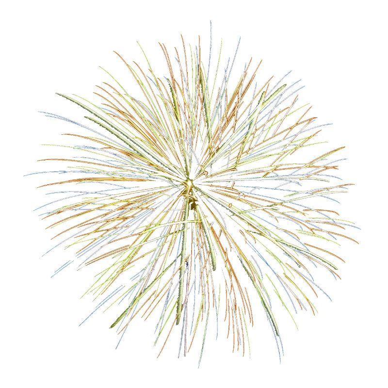 Feu d’artifice - Fireworks (multicolor)