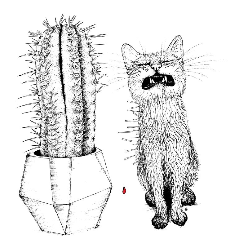 Kaktusschmuser
