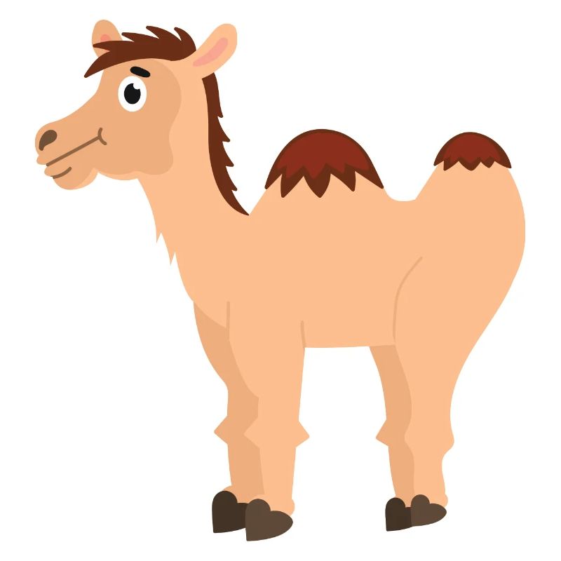 Kamel