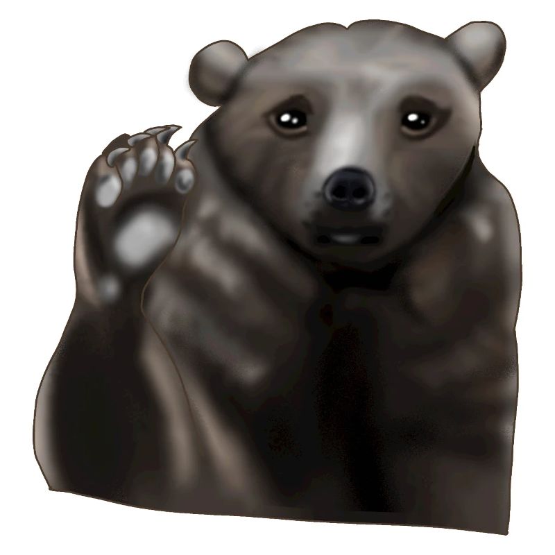 Braunbär