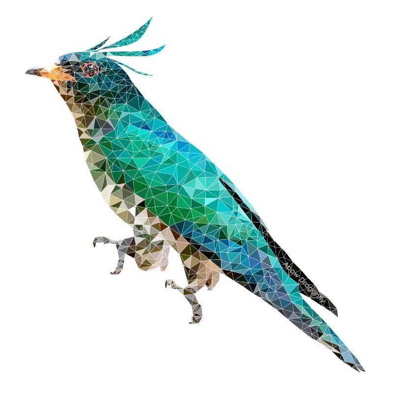 Vogel ~ der Smaragdkuckuck