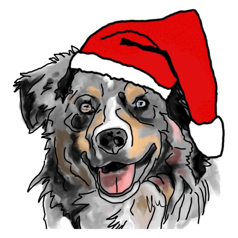 Australian Shepherd Aussie Christmas