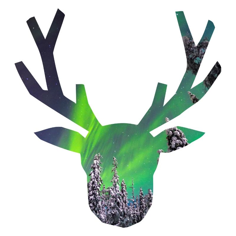 Polar Moose 2 Aurora