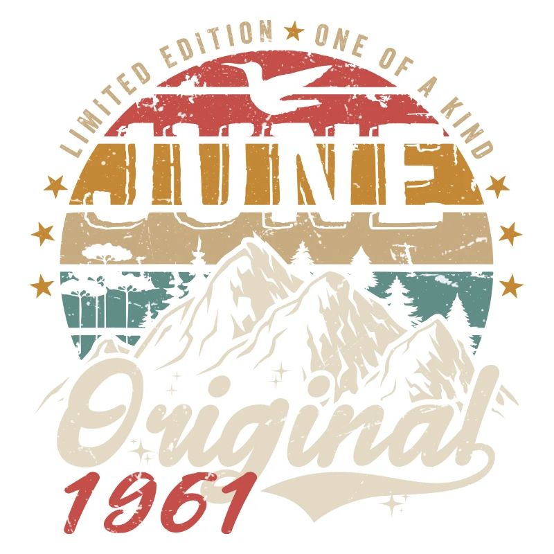 Juni 1961 Geburtstag Juni 1961 Geschenk Juni 1961