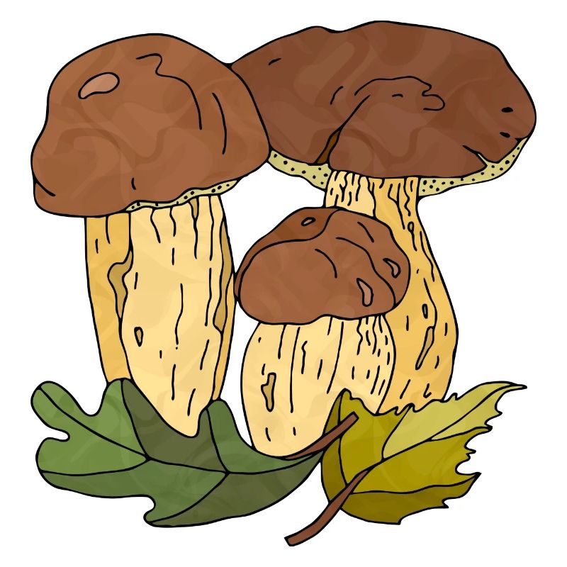 Pilze