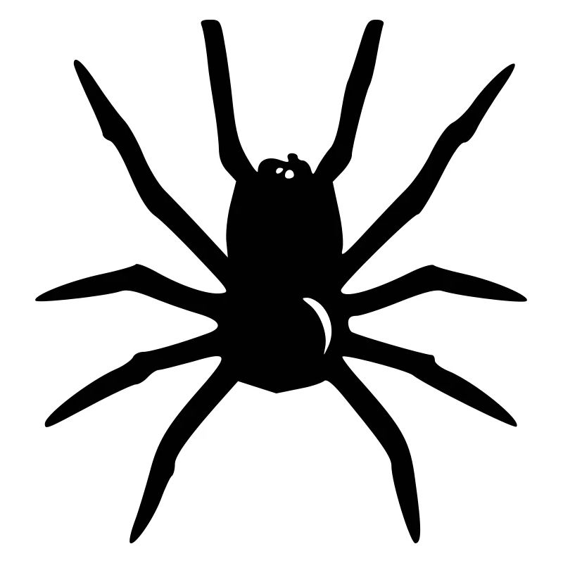 Spinne