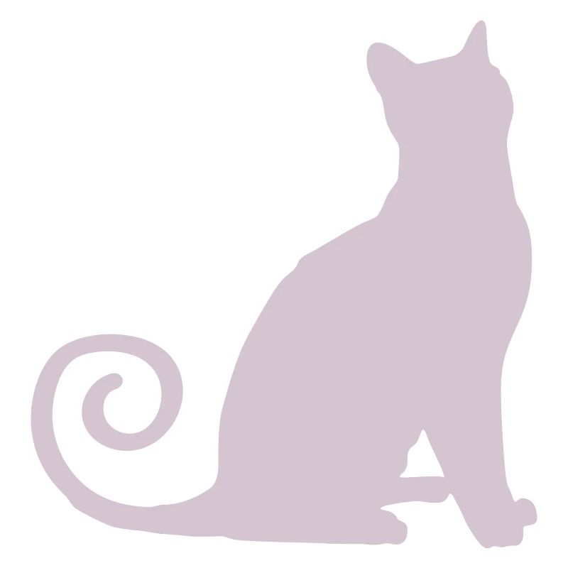 Silhouette de chat