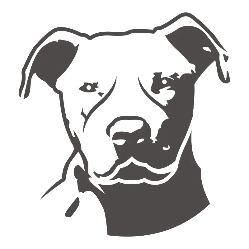 pitbull_head_front
