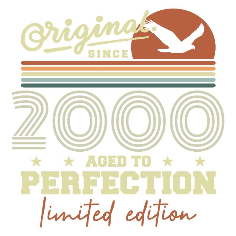 Original 2000 Geburtstagsgeschenk 2000 Retro 2000
