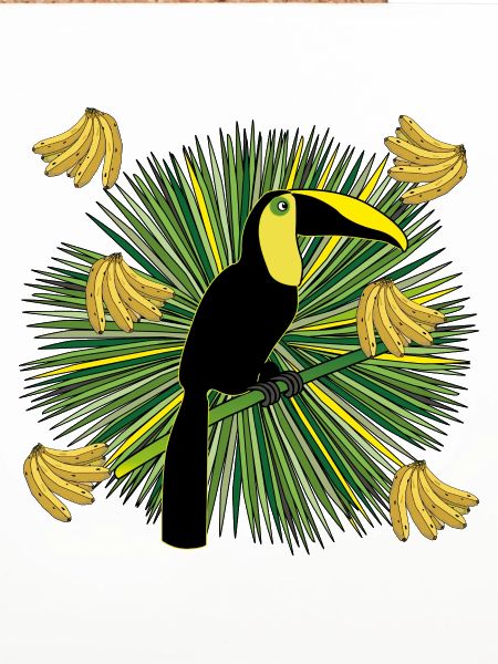 Toucan