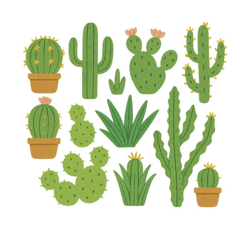 Différents types de cactus