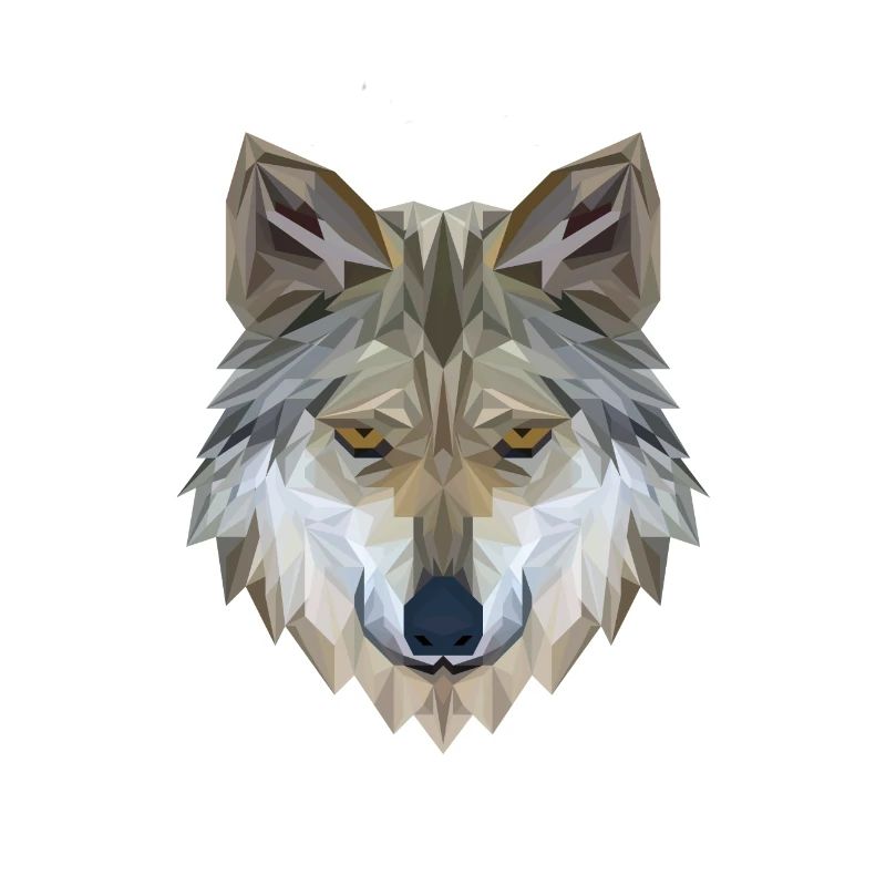 Wolf Face Polygon 3D