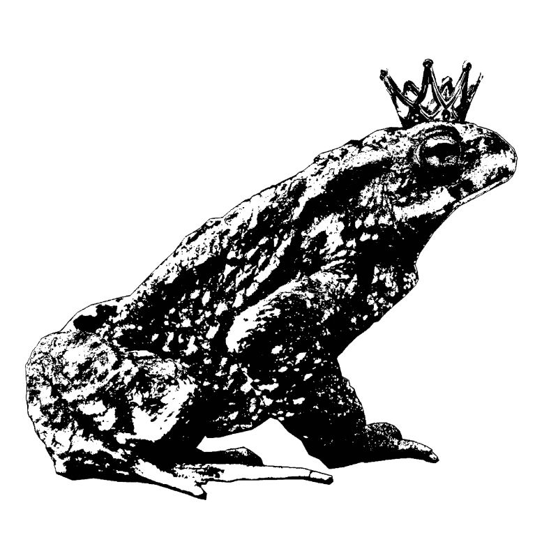 Crowned Toad