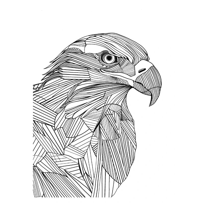 Linien Kunst Adler #eagle