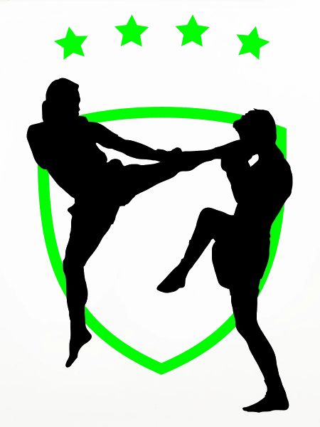 kampfsport_12