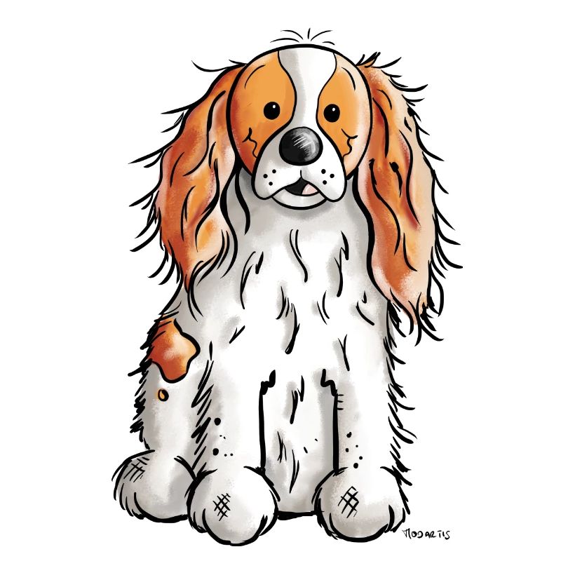 Cavalier King Charles Spaniel - Chien - Chiens
