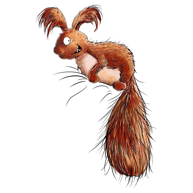 Droll Écureuil Faune