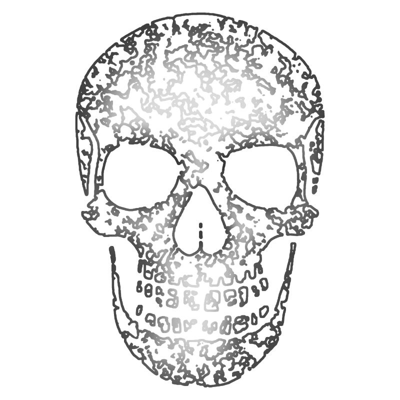 Skull Structure R6Z