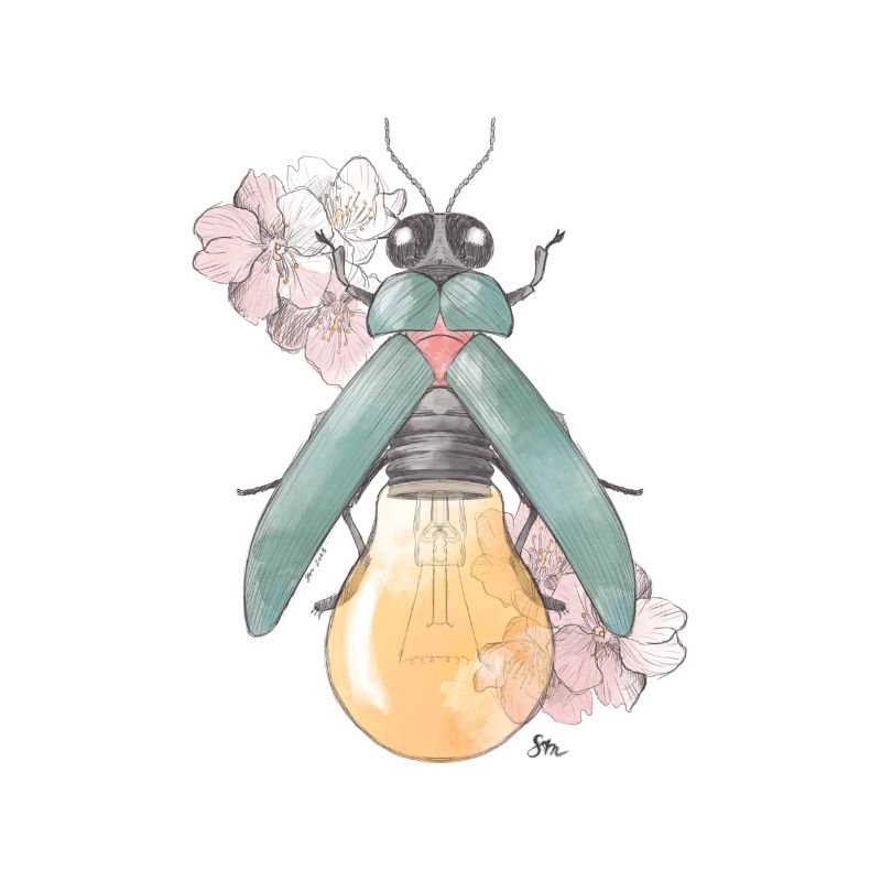 Pear | Flowering | Beetles