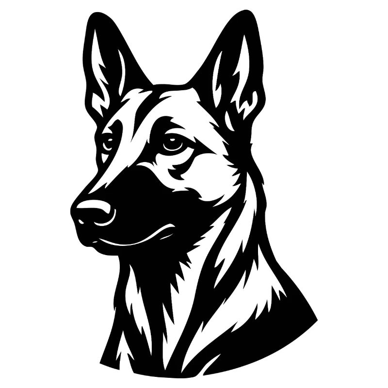 Malinois