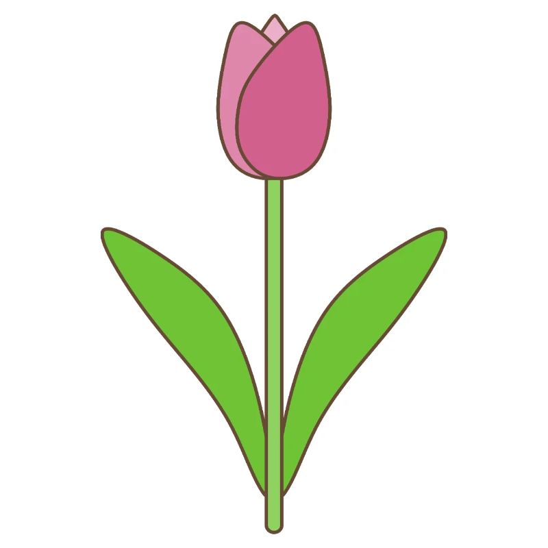 Tulip Bloom Pink