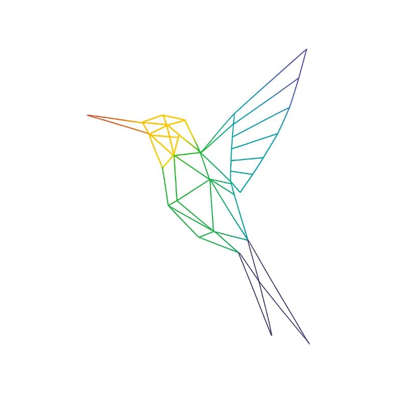 Geometrischer Regenbogenkolibri