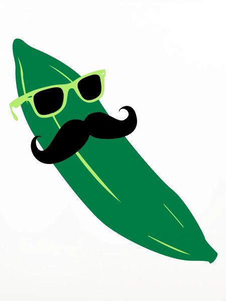 MoCumber