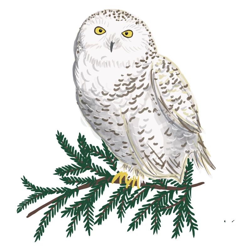 Schneeeule im Wald